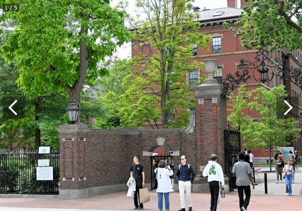 5월 30일 쵤영된 하버드대 교문 주변 모습.  아사히신문 6월 6일