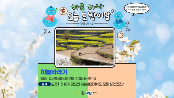 [오늘의 토박이말]하늘바라기