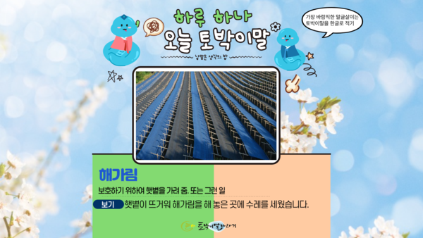 [오늘의 토박이말]해가림