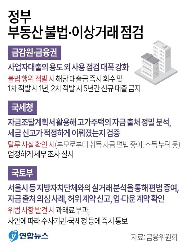 정부 부동산 불법.이상거래 점검 내용. 자료 : 금융위원회