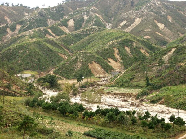 긴급 벌채로 인한 산사태. 산불 뒤 긴급 벌채로 산림생태가 파손당한 뒤 내린 비로 산사태가 나면서 곳곳이 속살을 드러내며 허물어져 내린 모습.  이규송