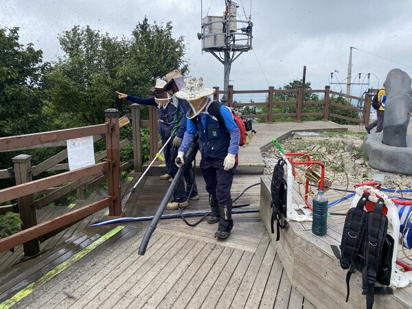 계양구청 직원들이 러브버그 방제 작업을 하고 있다. 사진 계양구청 제공