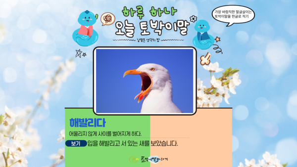 [오늘의 토박이말] 해발리다