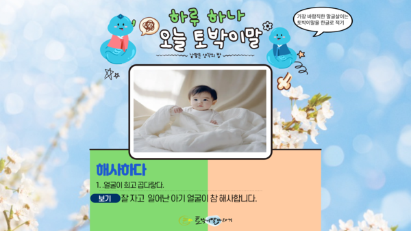 [오늘의 토박이말] 해사하다