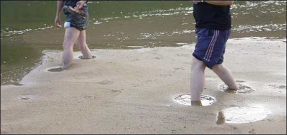 낙동강에서 모래가 강물에 떠서 아주 서서히 흘러가고 있는 장면(2009년경). @이원영