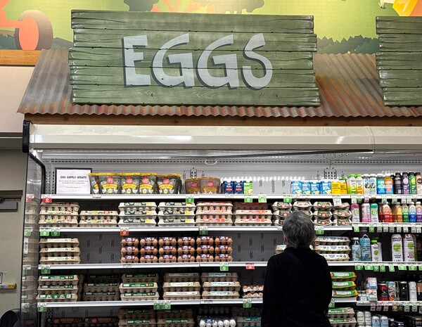 미국 캘리포니아주 산 라파엘에 위치한 스프라우트 식료품점에서 한 고객이 달걀을 고르고 있다. 미국 노동통계청에 따르면 달걀값은 3월에 5.9% 올랐다. 2025. 04. 11. [게티이미지=AFP/연합뉴스]