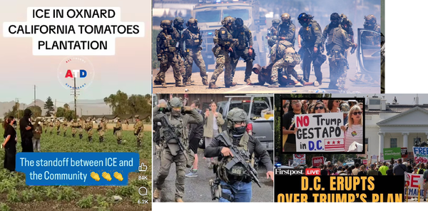 사진 1. 왼쪽부터 시계방향으로, 복면에 중무장한 이민국 요원과 맞서는 농장주와 이민 노동자들. 무장요원들이 차를 세우고 강제로 운전자를 끌어내리는 현장(캘리포니아); 트럼프의 군대 배치 항의집회—“트럼프 게슈타포는 DC를 떠나라”라는 손팻말이 눈에 띈다(워싱턴 DC); 완전무장한 채 주택가에 들이닥치는 이민국 단속요원들(일리노이).