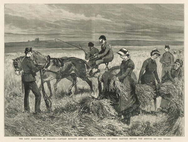 보이콧과 부인이 작물을 직접 수확하고 있다.(영국군의 호위와 함께).(The Irish Story)