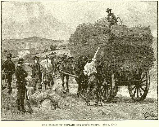 영국 자원병들이 영국 군대의 보호를 받으며 보이콧의 농작물을 수확하는 그림.(The Irish Story)