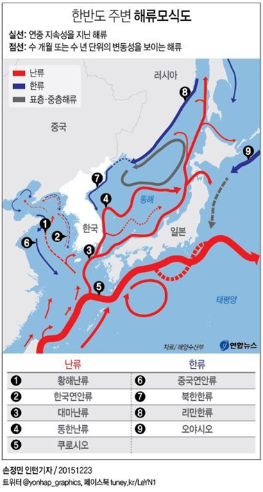 그림 2. 한반도주변 해류 모식도. 연합뉴스