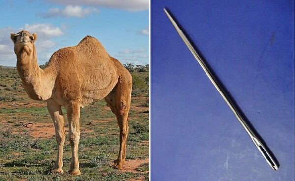 예수는 부자가 하늘나라에 들어가기는 낙타가 바늘귀를 통과하기보다 어렵다고 설파했다. 사진 위키백과