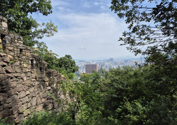 남산 한양도성 성곽길에서 내려다본 신라호텔. (이희용 촬영)