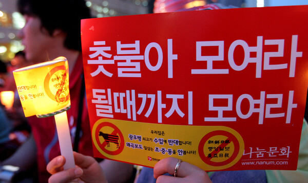 24일 저녁 서울 청계광장에서 광우병 쇠고기 반대하는 국민대책회의 주최로 열린 '17차 촛불문화제'에서 참석자들이 한미 쇠고기 수입 재협상을 촉구하고 있다. 2008.05.24. 연합뉴스