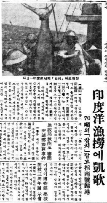 ‘印度洋(인도양) 漁擄(어로)에 凱歌(개가)’란 제목을 달아 지남호의 귀항 소식을 보도한 1957년 10월 16일자 경향신문.
