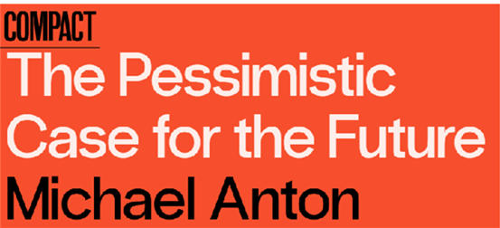 사진 6. ‘미국의 미래를 비관할 수밖에 없는 이유’ M. 안톤(현 국무부 정책기획국장) (Compact 23년 7월 21일)