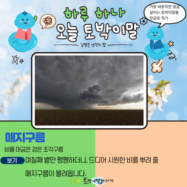 [오늘의 토박이말] 매지구름