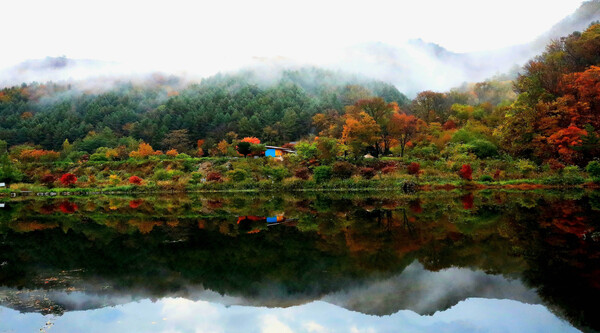 25일 강원 인제군 기린면 진동리 방태산의 단풍나무들이 작은 호수에 반영돼 가을 정취를 더하고 있다. 2025.10.25 [인제군 제공. 재판매 및 DB 금지] 연합뉴스