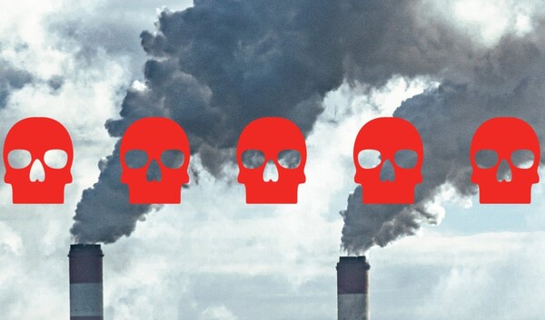 2024년 11월 아제르바이잔 바쿠에서 열린 COP29에서는 기후 변화에 가장 취약한 10개국의 모든 대표단보다 더 많은 화석 연료 로비스트가 참석자로 등록했다.  글로벌 위트니스