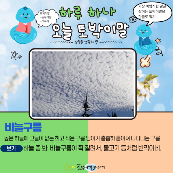 [오늘의 토박이말] 비늘구름