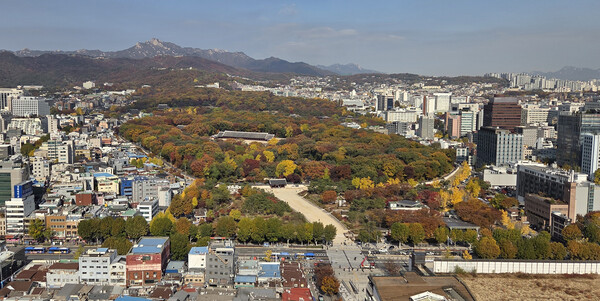 국가유산청이 유네스코 세계유산인 종묘 인근 세운4구역 재개발 사업에 문제를 제기한 데 대해 이 일대 토지주들이 "국가유산청이 재개발을 불가능하게 한다면 부당한 행정 행위에 대한 책임을 물어 손해배상·직권남용 등 민형사상의 책임을 물을 것"이라며 반발했다. 사진은 11일 서울 종묘 모습. 2025.11.11. 연합뉴스