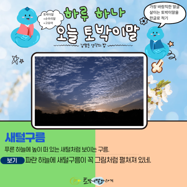 [오늘의 토박이말] 새털구름