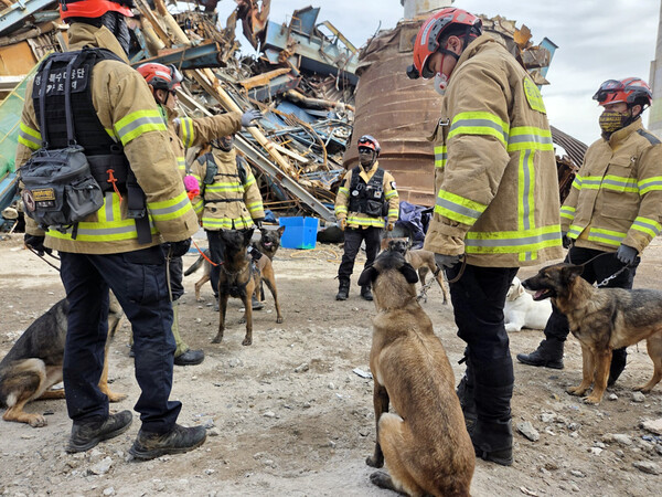울산화력발전소 붕괴 사고 일주일째인 12일 사고 현장에 여전히 매몰돼 있는 실종자를 수색하기 위해 인명구조견이 투입되고 있다. 2025.11.12 [울산소방본부 제공. 재판매 및 DB 금지]