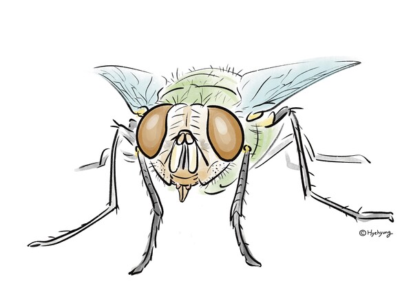 힘께 하기 어려운 불청객을 최대한 이쁘게 그려봤다.