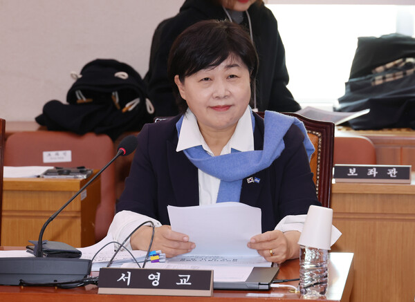 더불어민주당 서영교 의원이 19일 국회에서 열린 법제사법위원회 법안심사제1소위원회에 참석해 있다. 2025.11.19. 연합뉴스