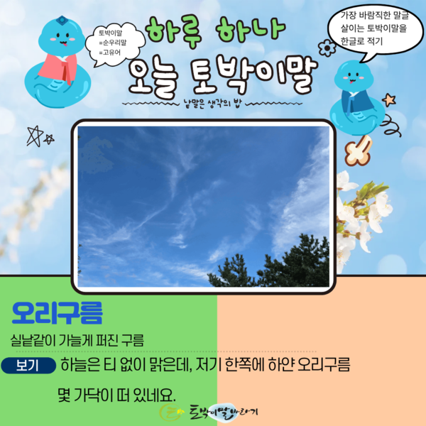 [오늘의 토박이말]오리구름