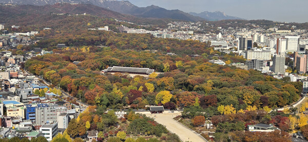 빌딩 숲에 둘러싸인 서울 종묘의 모습. 2025.11.11 연합뉴스