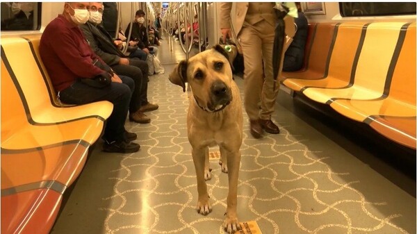 출처 : https://www.youtube.com/watch?v=Ce0zoTLI_T4