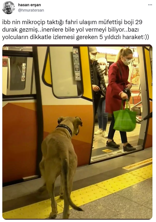 출처 : twitter Hasan Ersan